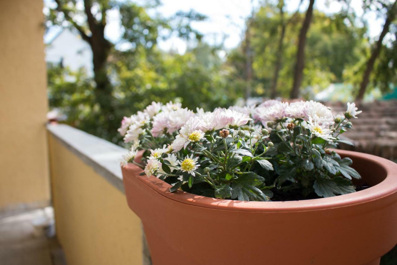 Good Life Home Apartment Szentendre Εξωτερικό φωτογραφία
